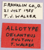 CollectionObject 1499579; 4c352989-7538-4fc2-bcb0-d68dd8422806: labels (allotype). (CollectionObject).