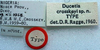 CollectionObject 1517503; d6d11d4c-4cb1-4895-aa74-2c9a4d66118f: labels (holotype). (CollectionObject).