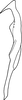 Stylus on Anufrievia falcata Yang & Zhang, 2018: Stylus. (Observation).