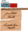 CollectionObject 1501727; 26af57d6-a20b-4ef0-8f00-15972ae2dde8: labels. (CollectionObject).