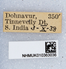 CollectionObject 1579431; 8c3f766c-41cc-4e39-8a84-e68e9a92e5be: labels. (CollectionObject).