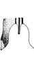 Ovipositor on Doratura medvedevi Logvinenko, 1961: Ovipositor (D. novobiriuziacina). (Observation).