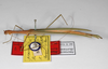 CollectionObject 1560064; d23926ac-6161-4256-921d-12a3deaa8fb7: copyright MNHU, Berlin. female of Phasma prasinum (lectotype). (CollectionObject).