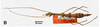 CollectionObject 1606391; fcb69893-e857-4ec4-baa1-8bb21f3b2f7e: (CollectionObject).