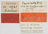 CollectionObject 1580735; cc2a2801-60da-4cb1-b746-7e5558c29b4c: labels (syntype). (CollectionObject).