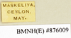 CollectionObject 1573012; 83cf0756-334e-44d8-b90c-89635041799a: Copyright Natural History Museum, London. Labels from non-type (adult male) in BM(NH). (CollectionObject).