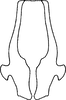 Anal tube processes on Falcitettix (Falcitettix) guttiger (Kusnezov, 1929): ventral view. (Observation).