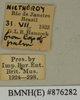 CollectionObject 1572939; 80e1770e-8f49-4427-8fc1-d48b80585464: Copyright Natural History Museum, London. Labels from non-type (adult male) in BM(NH). (CollectionObject).