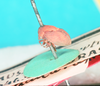 Habitus, lateral view on Postanomus reticulatus (Fairmaire, 1847): (Observation).