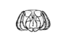Jivarus americanus Giglio-Tos, 1898: aedeagus, caudal view. (Otu).