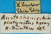 CollectionObject 1566676; df904b87-37c9-453d-aac1-1c1df91ca073: labels. (CollectionObject).