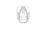 Dichroplus intermedius Ronderos, 1976: Fig, 3. male, head, frontal view. (Otu).