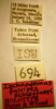 CollectionObject 1594721; 229d06b3-668f-469b-b4bb-c4965eeeadff: Ischnodemus fulvipes schaffneri HOLOTYPE Labels (NMNH) - (CC BY-NC 4.0) - Photo by Pablo M. Dellapé with permission from the National Museum of Natural History (NMNH), Smithsonian Institution, Washington, D.C. (CollectionObject).