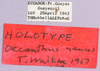 CollectionObject 1499372; 9fe2c93a-865e-463f-aff8-e9ecce621605: labels (holotype). (CollectionObject).