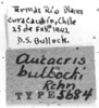 CollectionObject 1523808; f19fd345-d689-4c37-992a-80b3fba92333: labels (holotype). (CollectionObject).