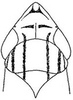 Head: head, dorsally. (Observation).