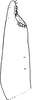 Subgenital plate, ventral view on Aguriahana paivana (Distant, 1918): Subgenital plate. (Observation).