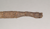 CollectionObject 1563988; NHMUK(SF IMPORT DUPLICATE) 844659, e0b7bab4-af0b-4dc2-9de1-c5429d269c46: copyright Natural History Museum, London. female: end of abdomen, dorsal view (paralectotype). (CollectionObject).