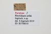 CollectionObject 1587974; 80399942-83b9-4596-9ef5-0e82bb9ff948: labels (holotype). (CollectionObject).