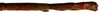 CollectionObject 1567615; 803e8e45-f31c-488d-ae30-c12de440af05: copyright Brussels. female: end of abdomen, dorsal view (paratype). (CollectionObject).;CollectionObject 1567616; acf2328f-c402-441c-b28e-e7ca43a45d1d: copyright Brussels. female: end of abdomen, dorsal view (paratype). (CollectionObject).;CollectionObject 1567617; 54e7e8da-4583-4543-a2f4-a88723df4de3: copyright Brussels. female: end of abdomen, dorsal view (paratype). (CollectionObject).
