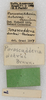 CollectionObject 1566623; 0080e846-e5a0-48d8-a109-f977e5e2d501: labels. (CollectionObject).