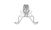 Maylasacris rugosa Cigliano & Amédégnato, 2010: Fig. 8AB. distal portion of aedeagal valves, ventral view. (Otu).