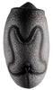 CollectionObject 1581484; 601aaab1-9f4d-494f-82cb-9f429d3f9c9c: copyright Frank Hennemann. egg, dorsal view (paratype). (CollectionObject).;CollectionObject 1581485; 3938798b-529d-44e9-82ff-15e0daf0f616: copyright Frank Hennemann. egg, dorsal view (paratype). (CollectionObject).;CollectionObject 1581486; 1af7e260-95ab-4227-a8ca-0b12eff77cd5: copyright Frank Hennemann. egg, dorsal view (paratype). (CollectionObject).