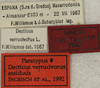 CollectionObject 1566371; eca92889-c694-45c6-8016-9b66589b8fbc: labels (paratype). (CollectionObject).