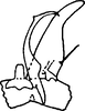 Subgenital plate, ventral view on Eupteryx (Stacla) sikkimensis Dworakowska, 1994: Subgenital plate, stylus & connective. (Observation).