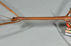 CollectionObject 1562187; 15c2593d-06c3-488b-a566-efe35ae64df6: copyright Natural History Museum, London. female: head & thorax, lateral view (holotype). (CollectionObject).