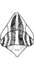 Head: !! display not done !! on Maiestas illustris Distant, 1917: Head and thorax. (Observation).