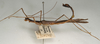 CollectionObject 1560322; 1c5ca752-aba2-4780-9573-d4ae7c863888: copyright NMW, Vienna. male, lateral view (paralectotype). (CollectionObject).;CollectionObject 1560323; f7f870e9-bf49-4e23-9221-6927e7eaf20f: copyright NMW, Vienna. male, lateral view (paralectotype). (CollectionObject).