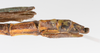 CollectionObject 1560619; b5e675b7-dd20-488b-8cd6-fb9217eaae48: copyright ZMUH, Hamburg. female: end of abdomen, lateral view (holotype). (CollectionObject).
