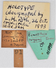 CollectionObject 1618754; 79dca6e4-27d4-477c-aeb1-1977485ddc5b: (CollectionObject).