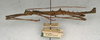 CollectionObject 1560209; ba66d1a1-6761-41c8-b74c-8c78ca7fc886: copyright NMW, Vienna. male, lateral view of Promachus lobatipes (syntype). (CollectionObject).;CollectionObject 1560210; 98c063a4-b9ec-4cca-9969-d90fceadc774: copyright NMW, Vienna. male, lateral view of Promachus lobatipes (syntype). (CollectionObject).