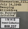 Other: !! display not done !! on Empoasca (Empoasca) fabae (Harris, 1841): Labels. Labels for the specimen used for the dorsal, lateral and face images. (Observation).