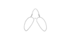 Tucayaca aquatica Bruner, 1920: Fig. 13A. male, eyes and fastigium, dorsal view. (Otu).