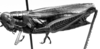 CollectionObject 1564561; NMW 20396', 4fff7d98-dc51-438d-a7ba-1cace3f46f3b: Image Carbonell, C.S. female, lateral view (syntype of Heperotettix vidiris festivus). (CollectionObject).