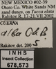 Other: !! display not done !! on Cuerna alba Oman & Beamer, 1944: Labels. (Observation).