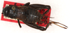 CollectionObject 1499585; e9d4f91f-c0d4-4763-a6eb-30707ed75d25: female, dorsal view (allotype of Gryllus nigrohirsutus). (CollectionObject).