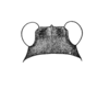 Hovacris undulata Rehn, 1930: Plate 18, Fig. 5. female head, dorsal view. (Otu).