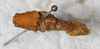 CollectionObject 1532116; bd482e45-07c6-4c09-84b4-f8b35d6fdf34: male, dorsal view (syntype). (CollectionObject).