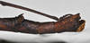 CollectionObject 1559518; NHMUK(SF IMPORT DUPLICATE) BMNH(E)845356, 0dc0db9c-24e0-46c7-9c2e-e9e72463fec1: copyright Natural History Museum, London. female: end of abdomen, lateral view (holotype). (CollectionObject).