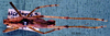 CollectionObject 1503266; 705deb9c-5d1f-4e7a-a21a-285c96347e9b: male habitus dorsal view. (CollectionObject).