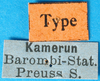 CollectionObject 1576722; f86d5b8c-f021-4e44-b8ac-6e3b6d0bc15e: labels (syntype). (CollectionObject).