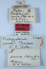 CollectionObject 1863642; 42cf938d-69c4-4534-a401-93119fa51314: (CollectionObject).