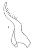 Stylus: Stylus. (Observation).