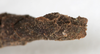 CollectionObject 1557776; db09e5e6-a031-42c2-8b75-5c488b61d0ea: copyright NMW. female: end of abdomen, lateral view (syntype). (CollectionObject).;CollectionObject 1557777; 022a4bd5-75b3-4878-9016-fc44d8d98d1b: copyright NMW. female: end of abdomen, lateral view (syntype). (CollectionObject).
