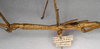 CollectionObject 1558198; NMW 870''', 734ce838-f175-4c02-9d9b-a14cd30e4bec: copyright NMW, Vienna. female: head and thorax, lateral view of synonym Acrophylla phyllocerca (paralectotype). (CollectionObject).