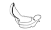 Bufonacris terrestris Walker, 1871: Fig. 45. endophallus, lateral view. (Otu).